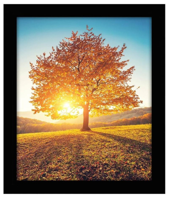 8x10 Black Frame