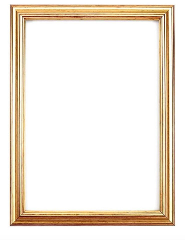 Gold 8x10 frame