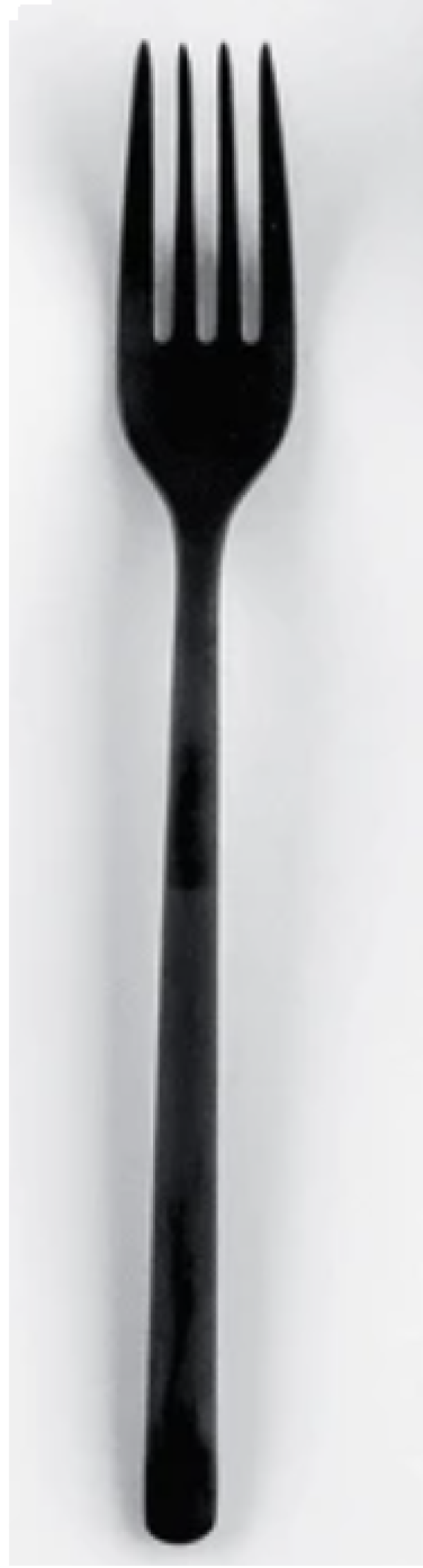 Black Dinner Fork