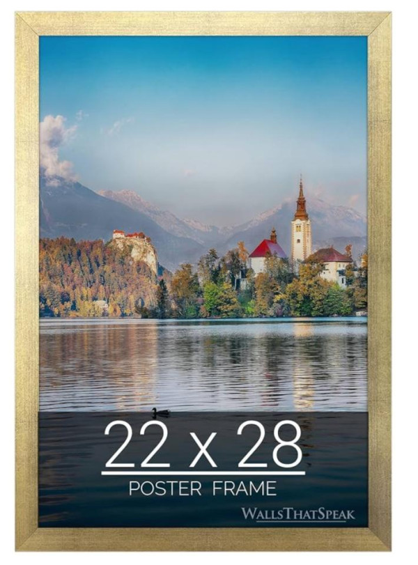 22x28 gold frame
