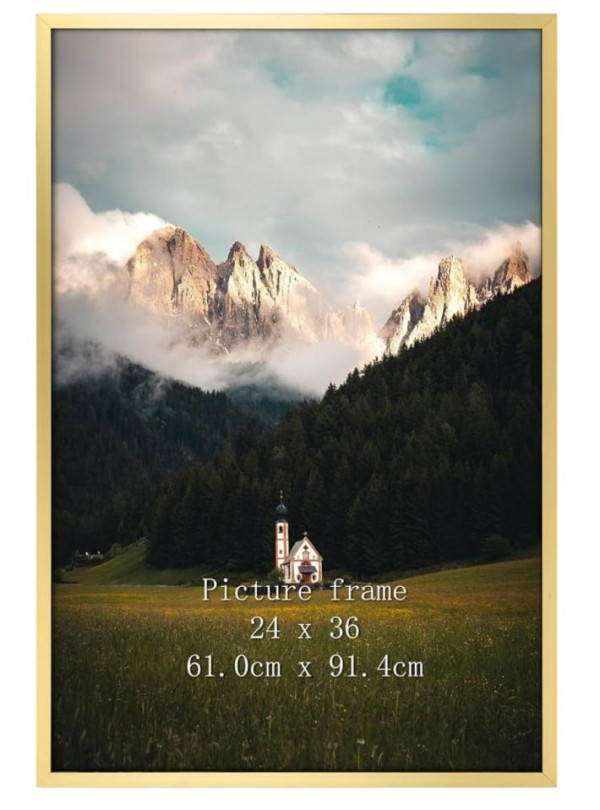 24x36 gold frame
